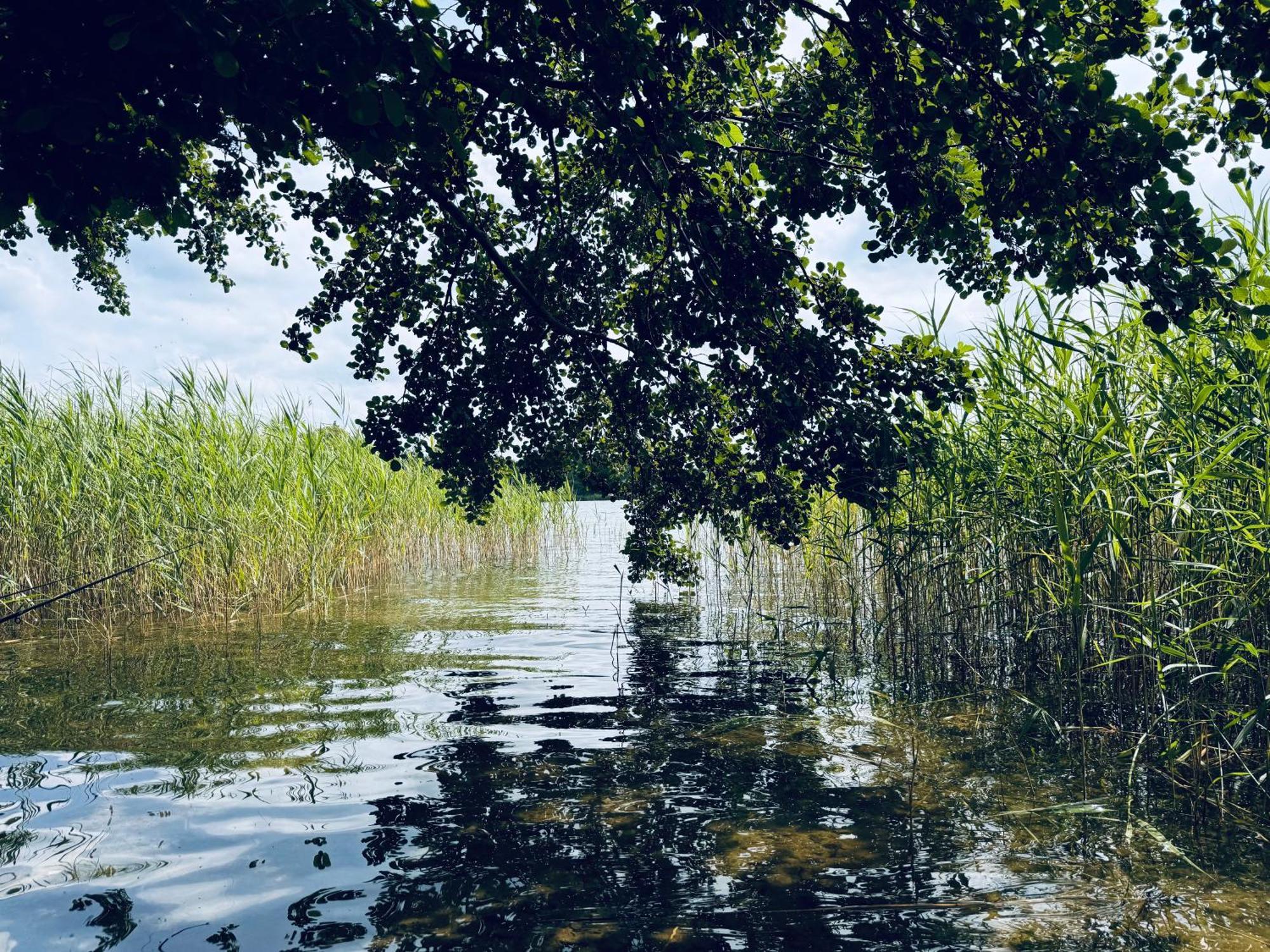 K357 - Ferienwohnung - Moin Moin - Poenitz - Scharbeutz Ratekau Dış mekan fotoğraf